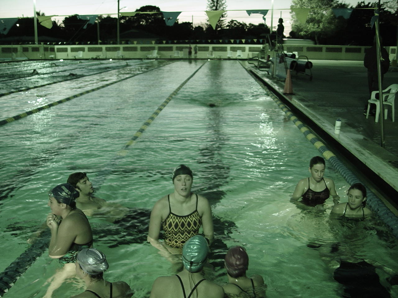 dsc00095.gif