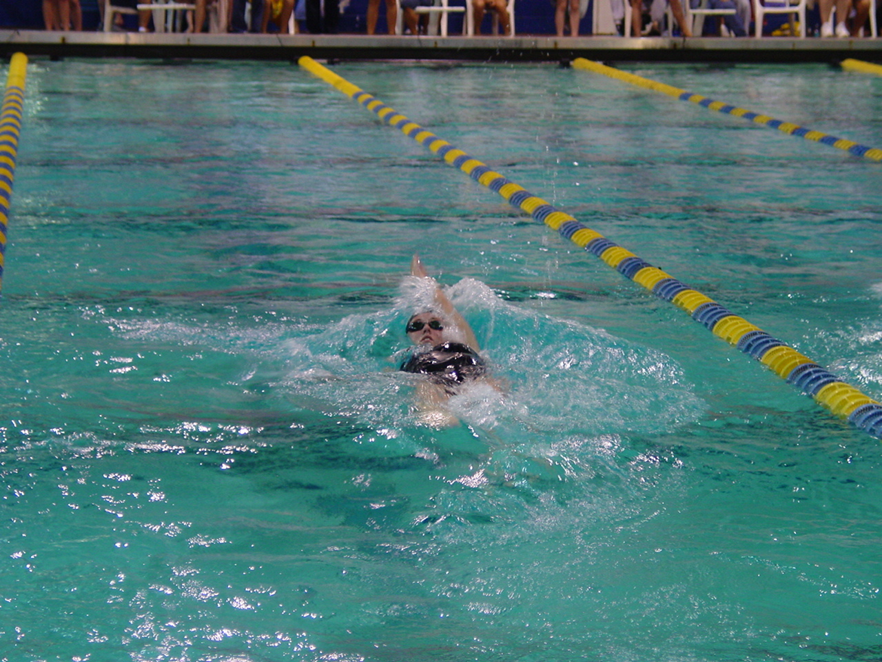 dsc01685.gif