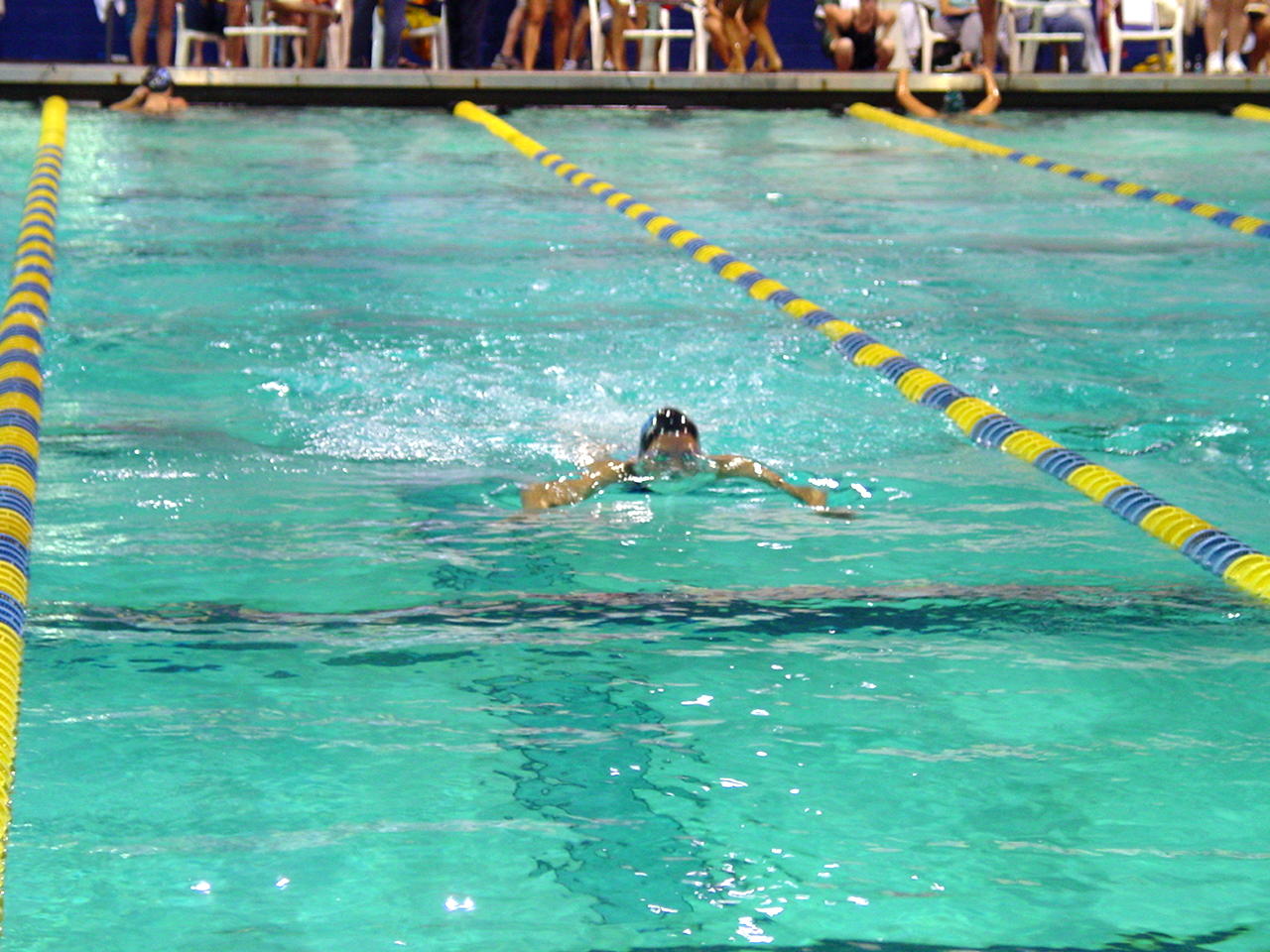 dsc01687.gif