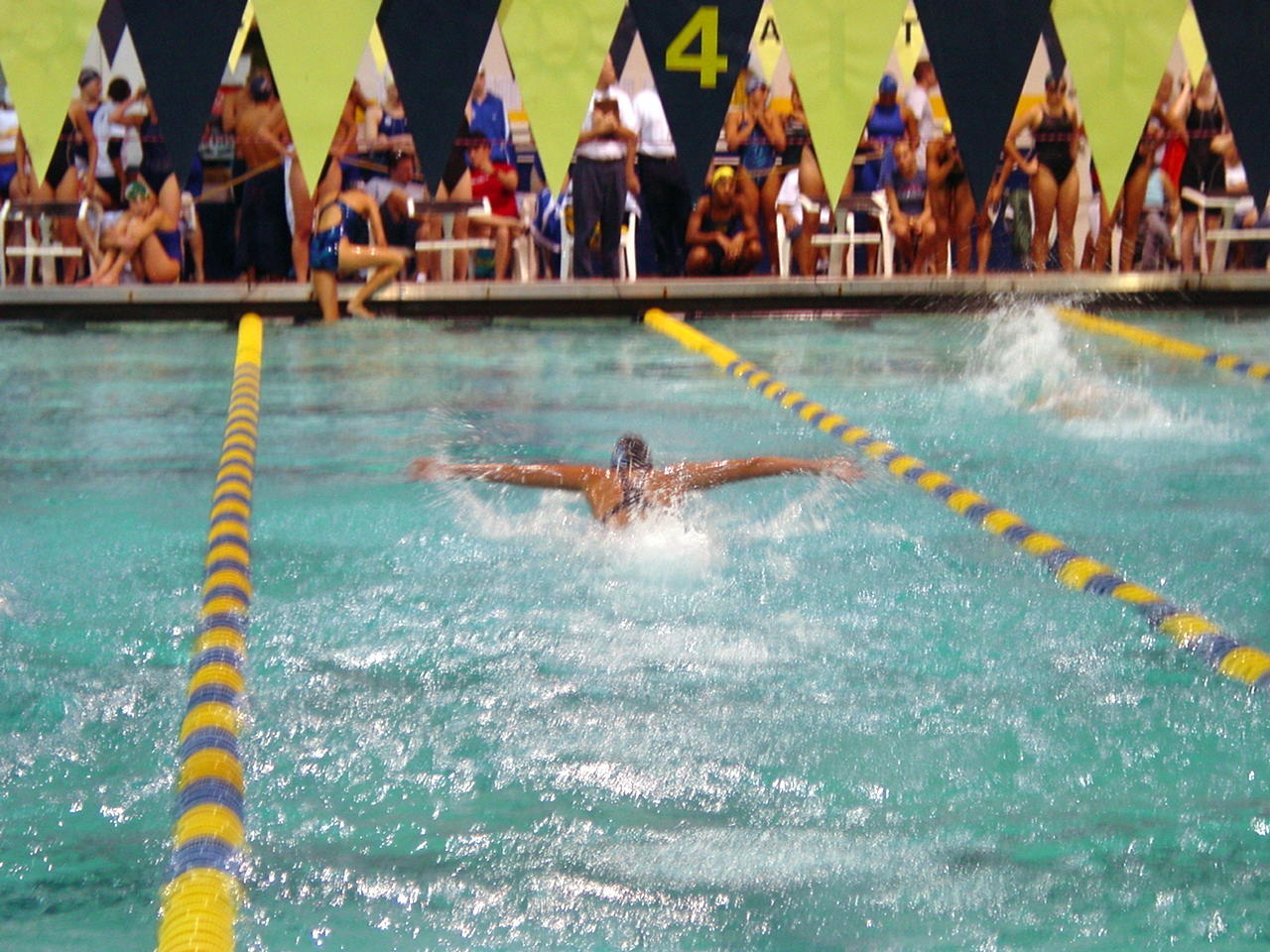 dsc01694.gif