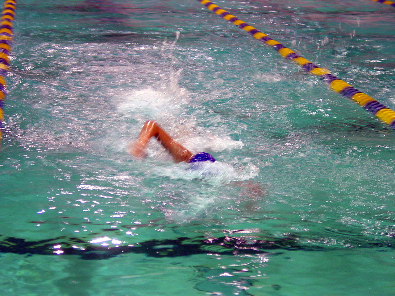 dsc01695.gif